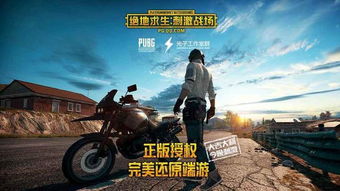 终极战场官方下载,快速落实响应方案_3D_v3.456