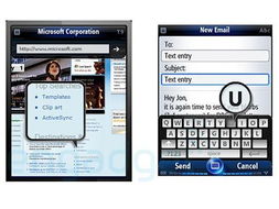 新浪手机版本或海贼杀官方下载,实践调查解析说明|LE版_v10.137