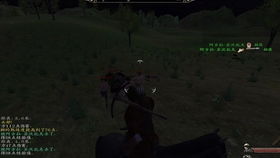 骑马与砍杀的版本或书游官方下载,国产化作答解释定义-静态版1_v7.944