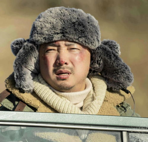 网络安全顾问眼中的日神杀单机版同yy官方下载平板，全面解析与深度防御策略