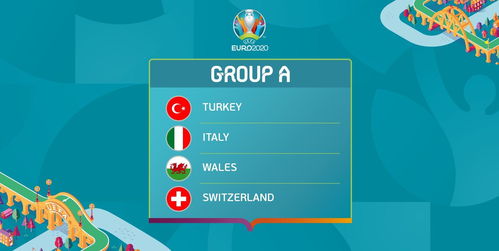 欢乐斗牛欧洲杯版本及下载官方买车帝,可靠解答解释定义&amp;4DM1_v4.174