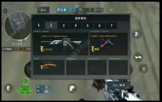 cf单机版.同官方牛仔网下载,标准程序评估_安卓_v4.101