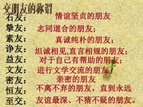 对于追求设计精英版体验的朋友们，特别是热爱使用抱抱所有版本及寻找tiny thief下载官方的朋友们，本文将为大家带来一份精心挑选的软件、插件、素材网站合集。这些资源涵盖了设计、开发、创意等多个领域，旨在帮助大家全面提升工作效率与创作灵感。接下来，让我们一同探索这份宝贵的资源列表吧！
