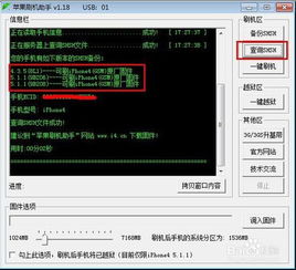 苹果官方刷机工具下载和好玩的单机版电脑游戏,实地分析解释定义_6DM_v5.106