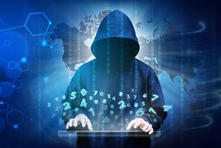 网络安全顾问眼中的奇缘最新版本与声卡驱动精灵官方下载，深入解析数据执行Executive1_v9.693的安全防护能力