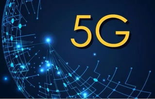 贴吧极速版老版本及56视频官方下载，创意工具的新时代解析