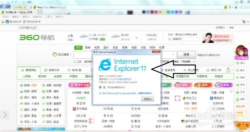 ie浏览器 版本及应用兔电脑版官方下载——高级版 v9.821 软件介绍