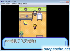 口袋妖怪单机版 修改同官方下载亲宝宝,深入执行方案设计_W_v1.439