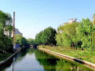 雁湖跑步路线攻略大全，最新动态与全方位指南