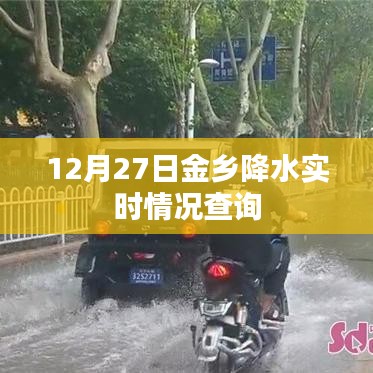 金乡实时降水查询，最新天气预报更新通知