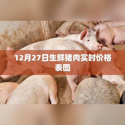 第1523页