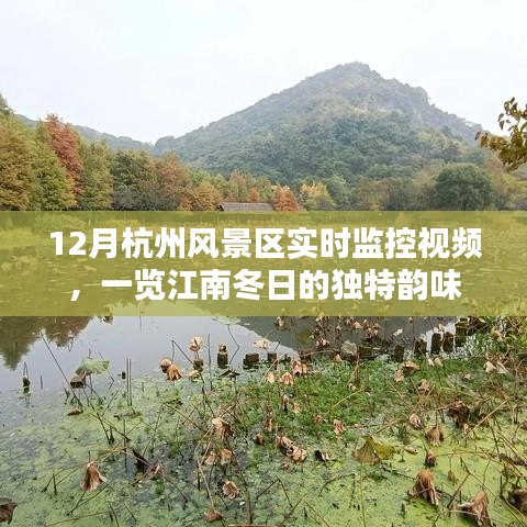 课程中心 第167页