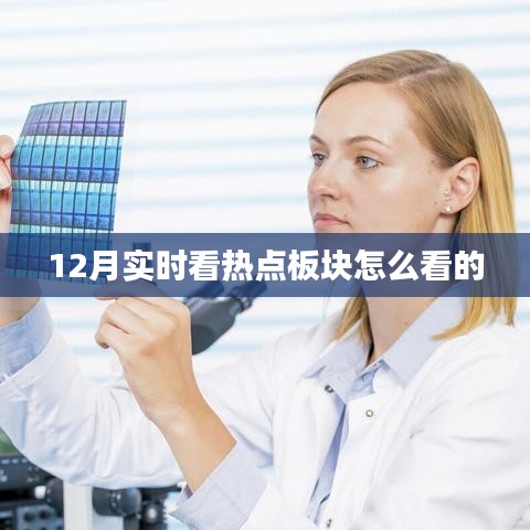 12月热点板块实时观察与分析