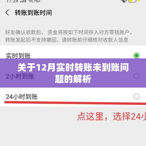 实时转账未到账问题解析，原因与解决方案