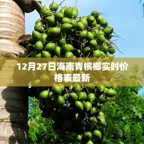 海南青槟榔最新实时价格表（12月27日）