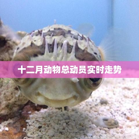 成功案例 第169页
