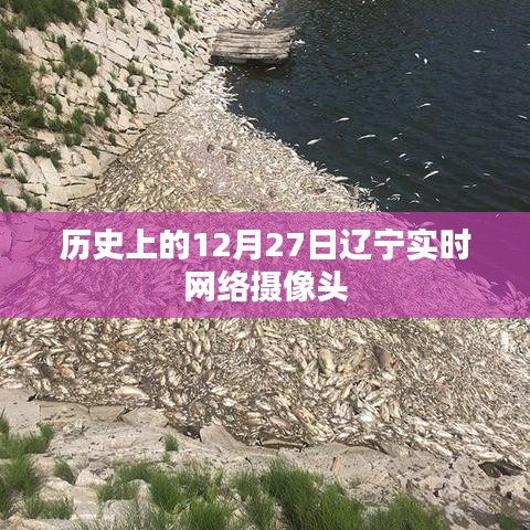 辽宁实时网络摄像头记录的历史时刻