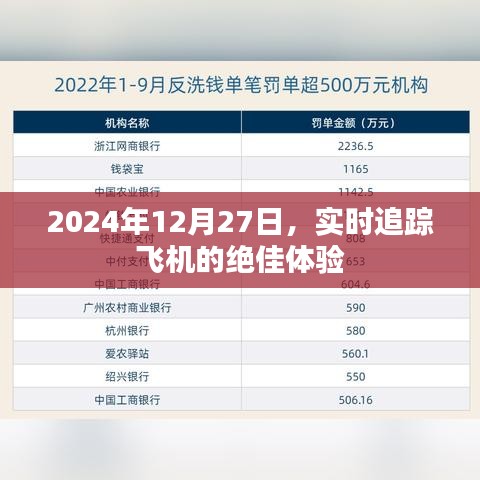 实时追踪飞机的绝佳体验，2024年飞行之旅体验纪实