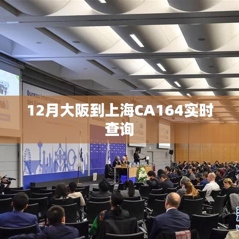 成功案例 第167页