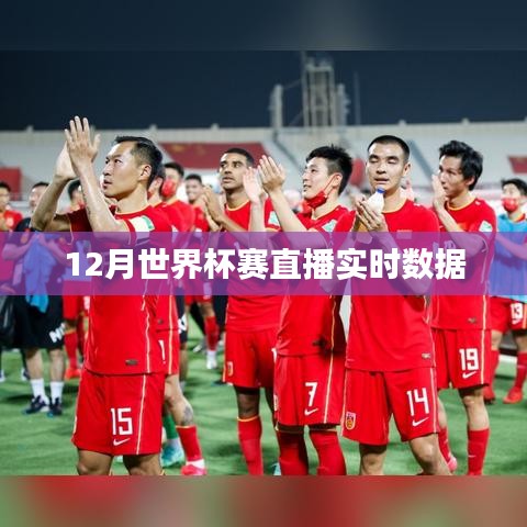世界杯赛直播实时数据解析