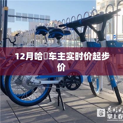 哈啰车主实时起步价查询（最新更新）