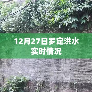 罗定洪水最新实时报道，12月27日洪水状况更新