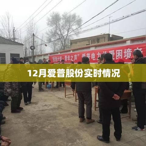 爱普股份12月最新动态及实时情况解析