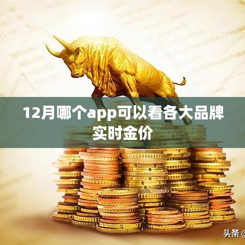 12月品牌实时金价查询APP推荐