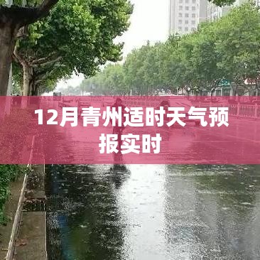 青州天气预报实时更新，十二月天气展望
