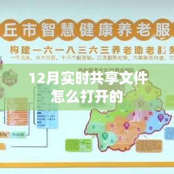 12月实时共享文件打开指南
