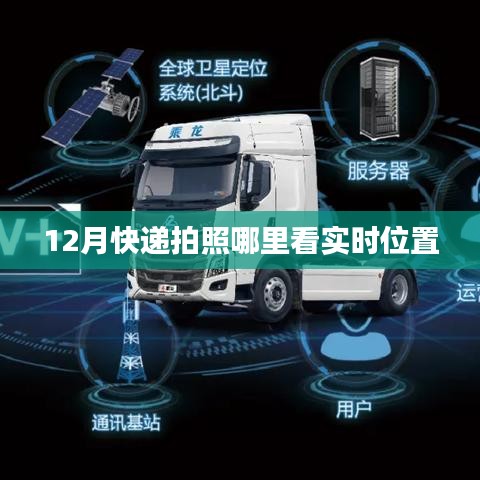12月快递实时位置查询指南