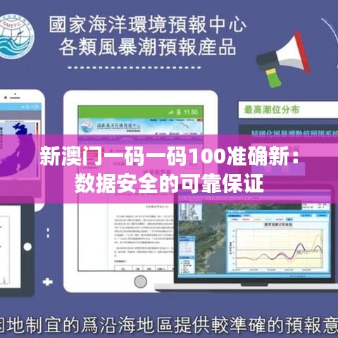 新澳门一码一码100准确新：数据安全的可靠保证