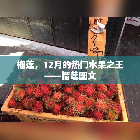 榴莲风采，水果之王图文赏析