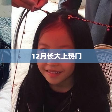 12月成长热点，揭秘长大上热门的秘密