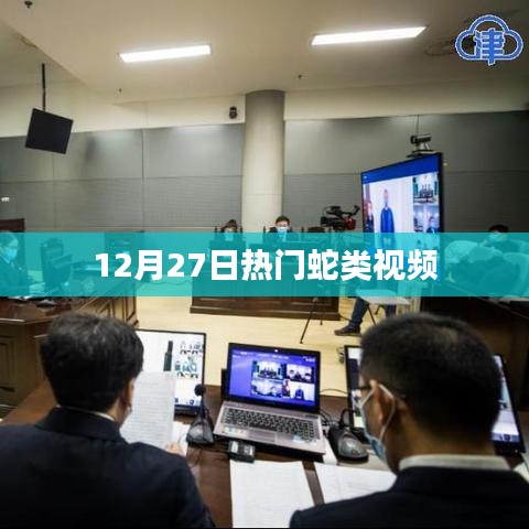 蛇类视频热点解析，揭秘蛇类世界