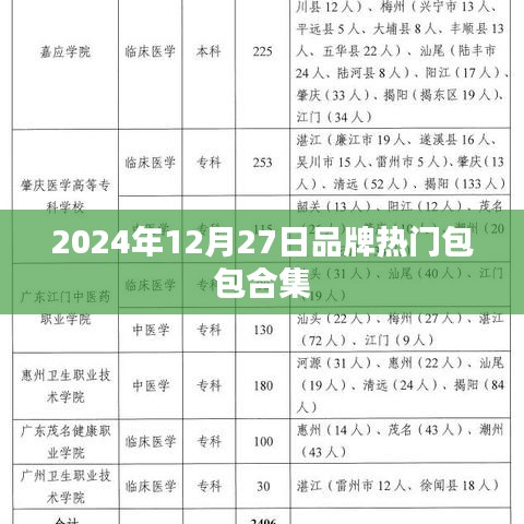 2024年热门品牌包包年终盘点