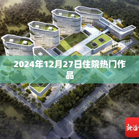 2024年热门住院作品盘点，医疗领域的文化力量