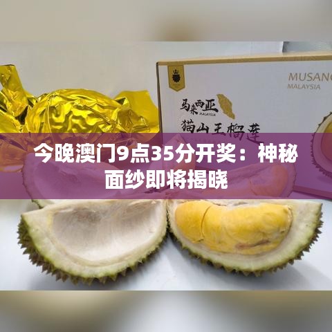 今晚澳门9点35分开奖：神秘面纱即将揭晓