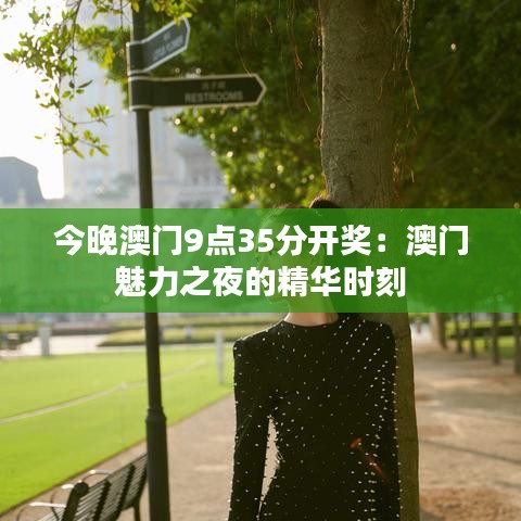 今晚澳门9点35分开奖：澳门魅力之夜的精华时刻
