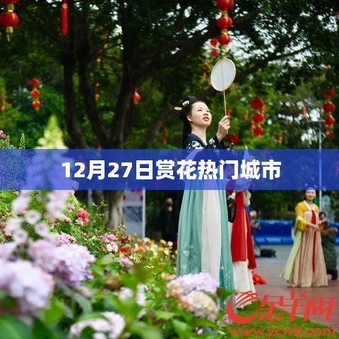 12月赏花热门城市推荐