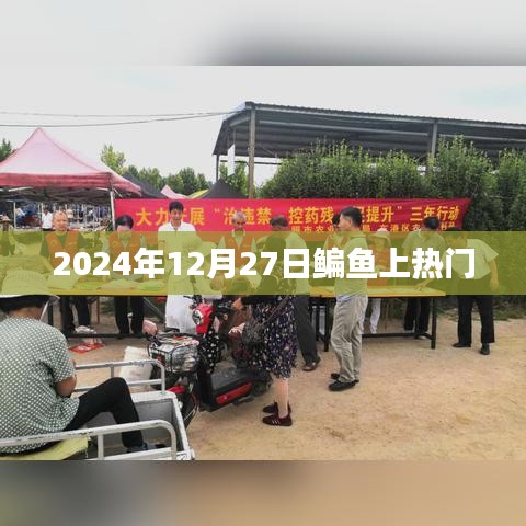 鳊鱼热潮来袭，揭秘2024年12月27日的热门事件