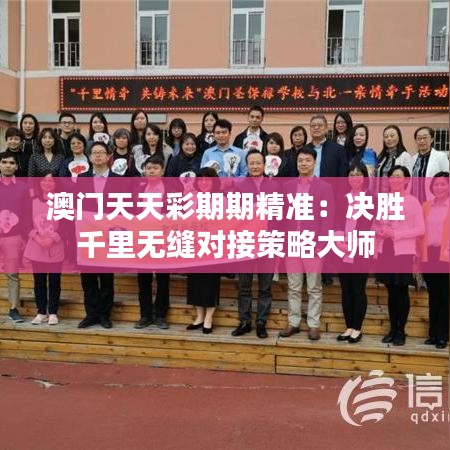 澳门天天彩期期精准：决胜千里无缝对接策略大师