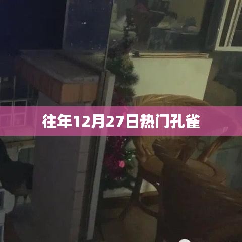 孔雀往年年末盛况，12月27日盛大观赏日