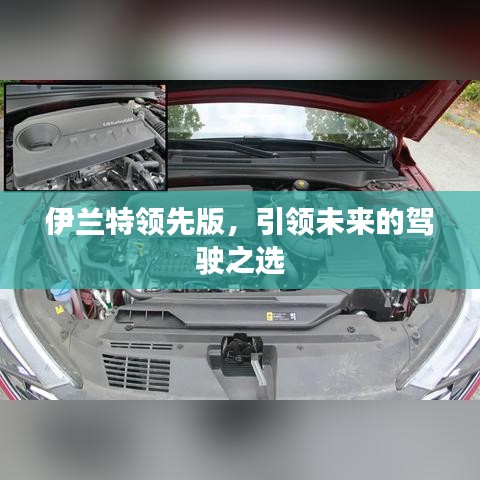 伊兰特领先版，未来驾驶首选之选
