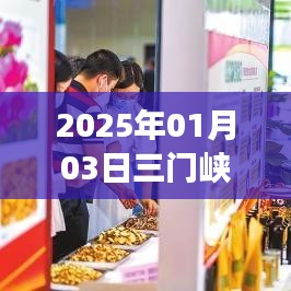 三门峡车辆升级与发展，展望2025年未来趋势