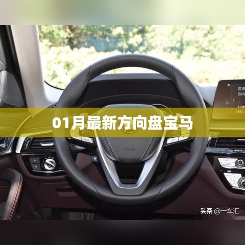 最新宝马方向盘设计曝光