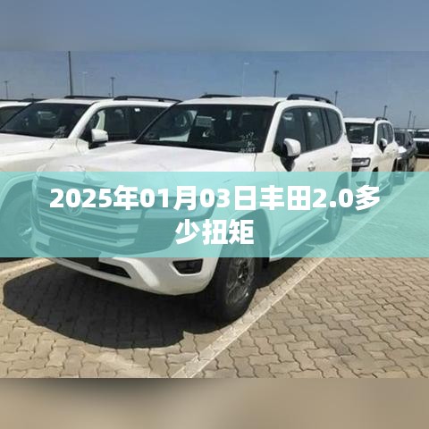 丰田2.0发动机扭矩揭秘，2025年1月数据更新