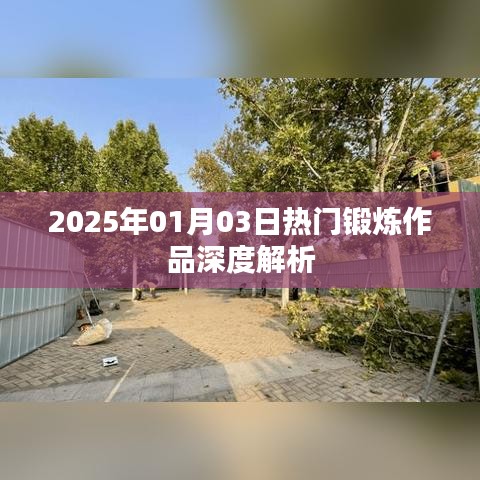 2025年热门锻炼作品深度解析，动作要领与效果解析
