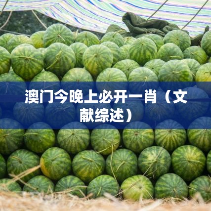 澳门今晚上必开一肖（文献综述）