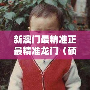 新澳门最精准正最精准龙门（硕士论文参考文献格式）